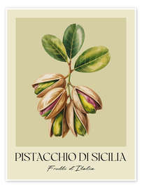 Wandbild Pistacchio di Sicilia - Frutti d'Italia - Andreas Magnusson
