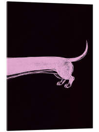 Acrylglasbild Dachshund II - Andreas Magnusson