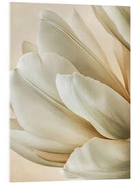 Acrylglasbild Velvety Petal Embrace - Bilge Paksoylu