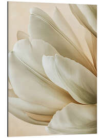 Aluminium print Velvety Petal Embrace - Bilge Paksoylu