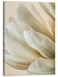 Leinwandbild Velvety Petal Embrace - Bilge Paksoylu
