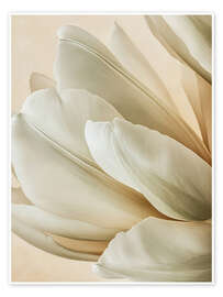 Plakat Velvety Petal Embrace - Bilge Paksoylu