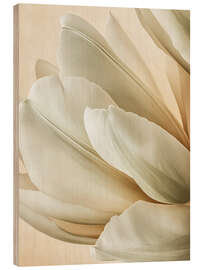 Stampa su legno Velvety Petal Embrace - Bilge Paksoylu