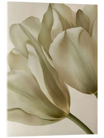 Acrylglasbild Whispering Petals - Bilge Paksoylu