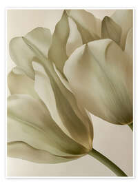 Poster Whispering Petals