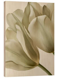 Stampa su legno Whispering Petals - Bilge Paksoylu