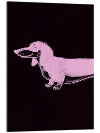 Acrylic print Dachshund IV - Andreas Magnusson