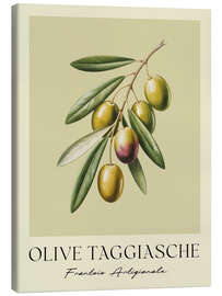 Leinwandbild Olive Taggiasche - Frantoio Artigianale - Andreas Magnusson