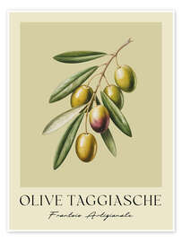 Wandbild Olive Taggiasche - Frantoio Artigianale - Andreas Magnusson