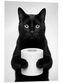 Acrylic print Cat Holding Toilet Roll - Andreas Magnusson