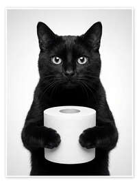Poster Cat Holding Toilet Roll