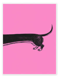 Wandbild Dachshund II - Andreas Magnusson