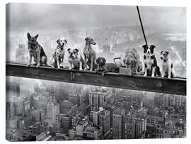 Leinwandbild Lunch Atop a Skyscraper - Dog Edition - Andreas Magnusson