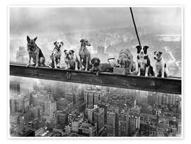 Poster Lunch Atop a Skyscraper - Dog Edition - Andreas Magnusson