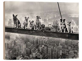 Holzbild Lunch Atop a Skyscraper - Dog Edition - Andreas Magnusson