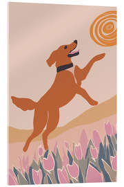 Acrylglasbild Fröhlicher Frühlingssprung - Andreas Magnusson