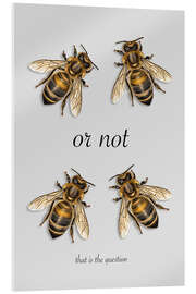 Quadro em acrílico Bee or Not Bee? - Andreas Magnusson