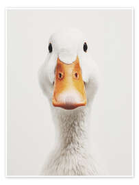 Tavla White Goose - Andreas Magnusson