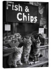 Leinwandbild Hungrige Kätzchen