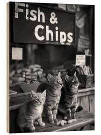 Stampa su legno Hungry Kittens