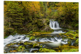 Acrylglasbild Schwarzbach - Rainer Mirau