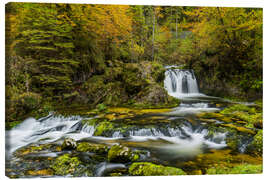 Tableau sur toile Schwarzbach, Germany - Rainer Mirau