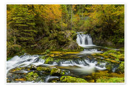 Wandbild Schwarzbach - Rainer Mirau
