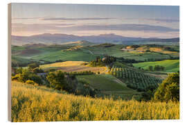 Holzbild Belvedere III - Rainer Mirau