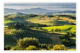 Wandbild Belvedere in der Toskana - Rainer Mirau