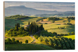 Holzbild Belvedere I - Rainer Mirau