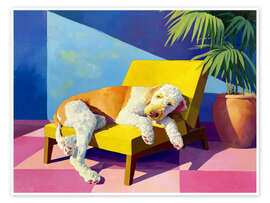 Poster Entspannter Hund auf dem gelben Sofa - Anastasia Mamoshina