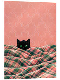 Acrylglasbild Black Cat In The Bed - Kidz Collection