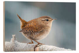 Holzbild Zaunkönig - Christian Müringer