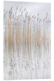 Acrylglasbild Stille Gräser - Christian Müringer