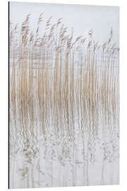 Tableau en aluminium Silent grasses - Christian Müringer