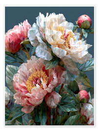 Poster Rosa und weiße Pfingstrosen - Maria Tuzhilkina