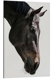 Print på aluminium Gentle Equine Gaze