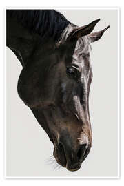 Wandbild Gentle Equine Gaze