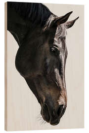 Holzbild Gentle Equine Gaze