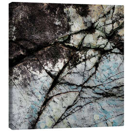 Leinwandbild Shadow Passage - Petra Meikle