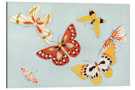 Aluminium print Butterflies in Red &amp; Yellow, 1904 - Kamisaka Sekka