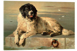 Acrylic print A Distinguished Member of the Humane Society - Sir Edwin Landseer