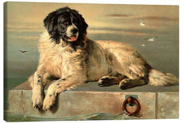 Canvas print A Distinguished Member of the Humane Society - Sir Edwin Landseer