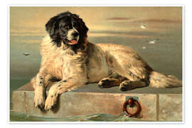 Poster A Distinguished Member of the Humane Society - Sir Edwin Landseer