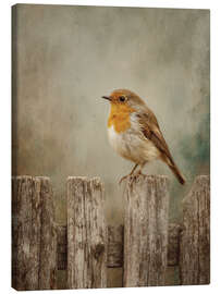 Leinwandbild Rotkehlchen auf Holzzaun - TAlex