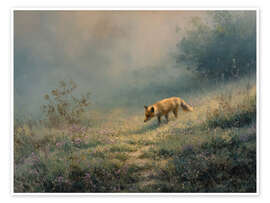 Poster Easter fox in an atmospheric wildflower meadow