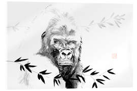 Acrylglasbild Gorilla beringei beringei - Péchane