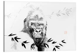 Aluminium print Gorilla beringei beringei - Péchane