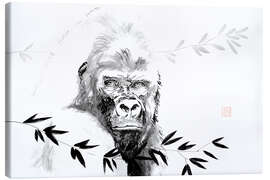 Leinwandbild Gorilla beringei beringei - Péchane