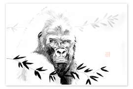 Poster Gorilla beringei beringei - Péchane